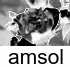 cct_amsol.gif