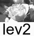 cct_lev2.gif
