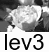 cct_lev3.gif