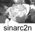 cct_sinarc2n.gif