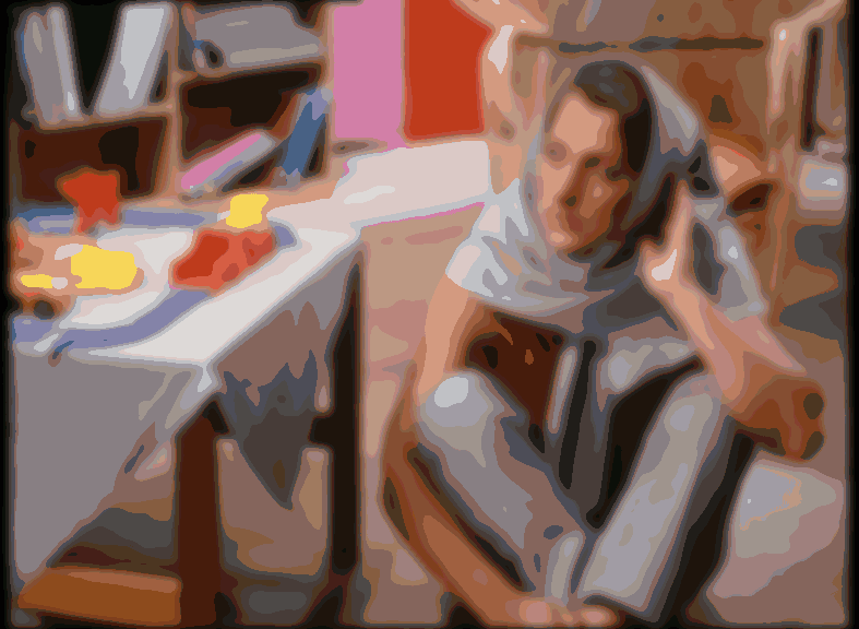 fcc_seg.png