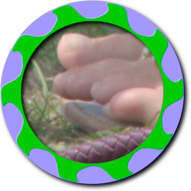 ffr_bev_shad_toes.png