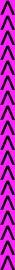 ffr_edge_r.png
