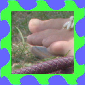 ffr_elem_frmd.pngjpg