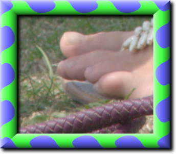 ffr_shad2_frmd.png
