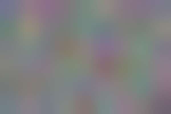 fn_rfn_full_6.miffjpg