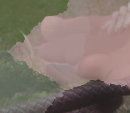 gc_as1_t.pngjpg