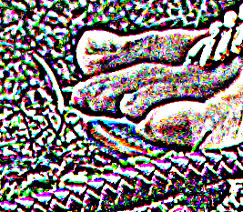 lmm_usm3.pngjpg