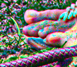 mlcl_sc5.pngjpg