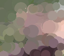 ppix_circ_s1.png