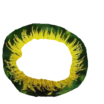 spm_flr_chk.png