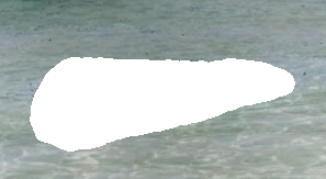 spm_minus_mskd.pngjpg