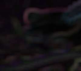 wms_sdc1.pngjpg